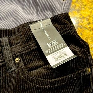 NWTS corduroy carpenter pants.